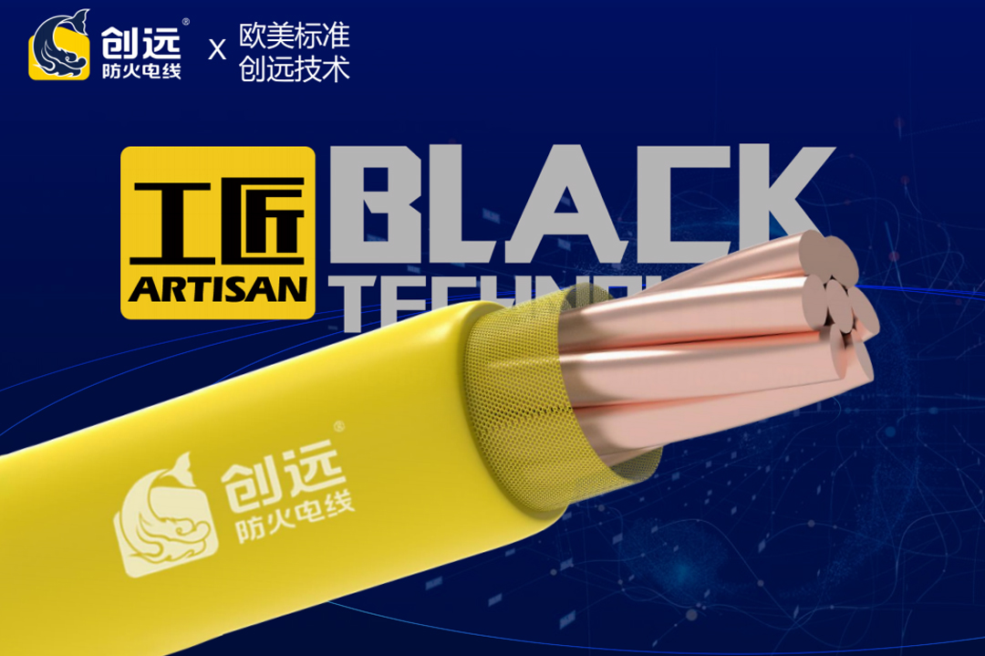 1762824215281795HvZE.jpg 03.jpg