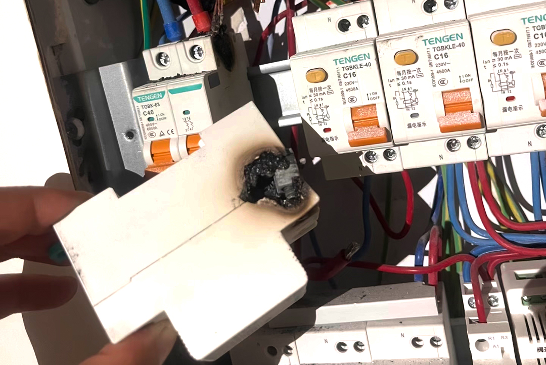 1768872356814256euTd.jpg 5.jpg